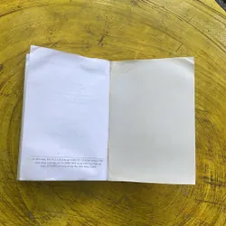 THƠ CHỮ HÁN NGUYỄN DU TOÀN TẬP- VƯƠNG TRỌNG DỊCH THƠ 609892