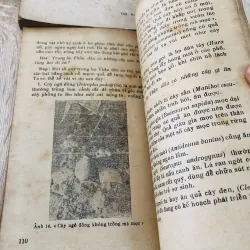 HỎI ĐÁP VỀ THỰC VẬT – trọn bộ 5 tập 🌿 956957