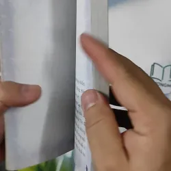 Tôi Đi Học - Nguyễn Ngọc Ký 798393