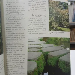 THE ART OF JAPANESE GARDENS (NGHỆ THUẬT CỦA SÂN VƯỜN NHẬT BẢN) - HERB GUSTAFSON 752637