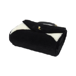 Chanel AS2612 Túi đeo vai - Hàng hiệu Chính hãng 767766