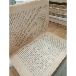 Kế hoạch anpha - Lê Chấn