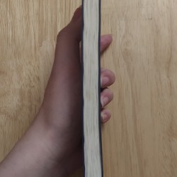 Lưng Chừng Cô Đơn - Nguyễn Ngọc Thạch 261