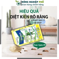 10 REGENT 800 (gói 1.6g) DATE MỚI - Diệt Kiến, Gián, Bọ Chét, Mạt, Rầy, Nhện, Bọ Trĩ, Sâu 508270