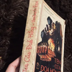 Tên của đoá hồng 998251