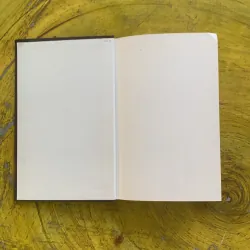 LỊCH SỬ NGÔN NGỮ ANH - A HISTORY OF THE ENGLISH LANGUAGE- G.L. BROOK 1031296
