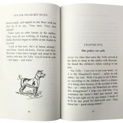 Sách The Secret Seven - Trọn bộ 16 quyển 747024