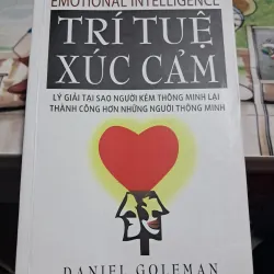 Trí tuệ xúc cảm 1021225