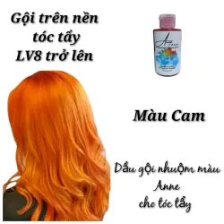 Dầu Gội Bù Màu Anne Dành Cho Tóc Tẩy 100ML 250ML 762688