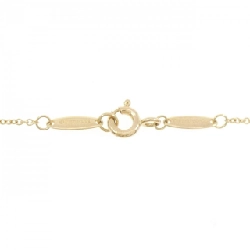 Dây chuyền Tiffany By The Yard - Hàng hiệu Chính hãng 841258