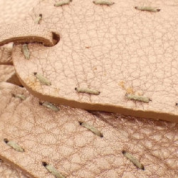 【Vintage】Túi xách vai Fendi SELLERIA 8BR442 NDU 613096