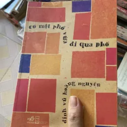 Có một phố vừa đi qua phố - Đinh Vũ Hoàng Nguyên, Mới 80% (KimT)