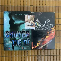 Nghiêm Ca Linh - Kim lăng thập tam thoa, Chuyện của Tuệ Tử 