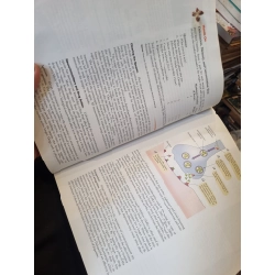 Psychology (A Custom Edition) - Stephen F. Davis & Joseph J. Palladino 385278