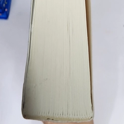 Sách Sơn ca vẫn hót của Kristin Hannah bìa mềm mới 99% 506752