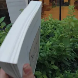 Di cảo Đặng Đình Hưng  976183