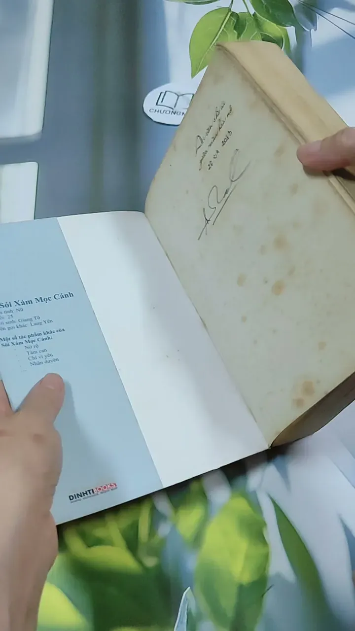 Ai Còn Chờ Ai Giữa Mùa Hoa Nở - Sói Xám Mọc Cánh 744737