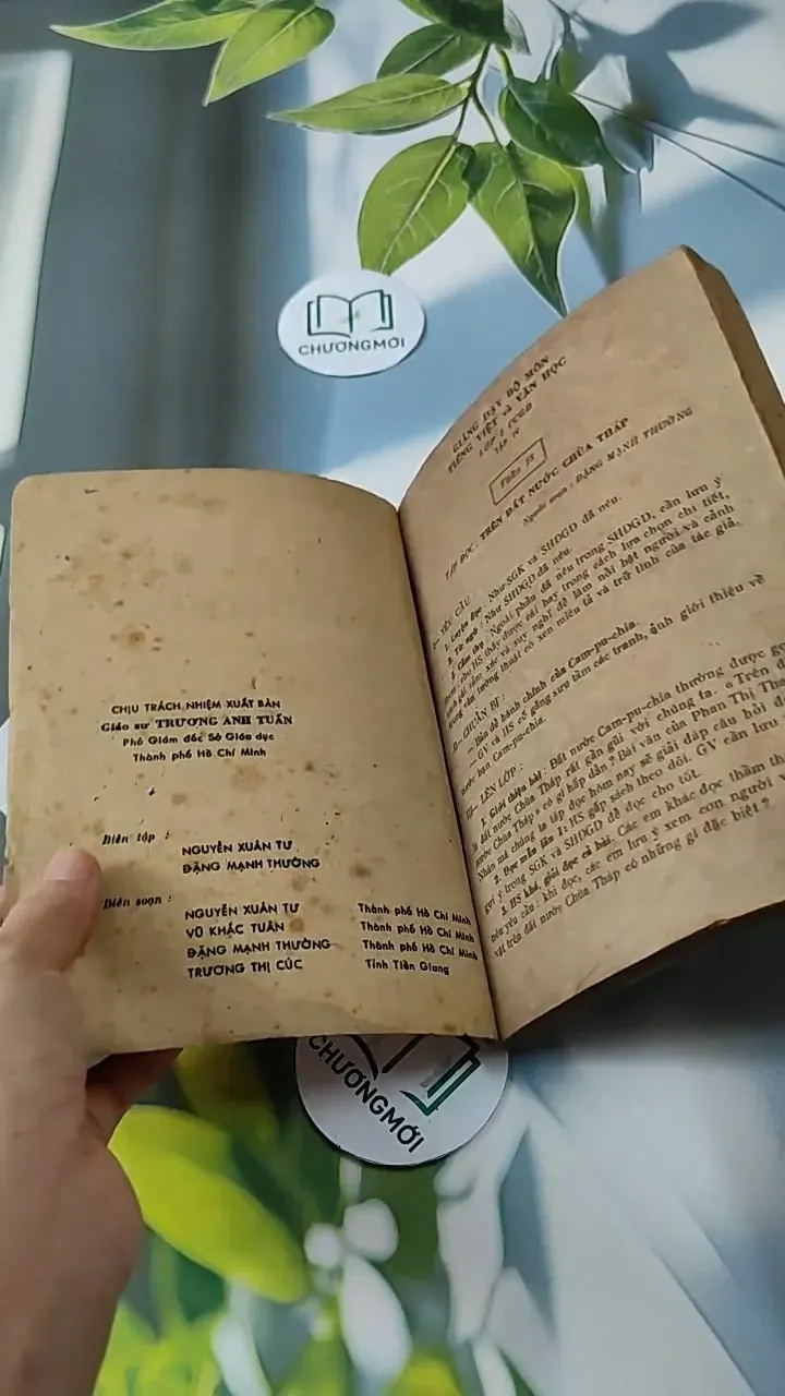 Giảng dạy bộ môn Tiếng Việt và Văn Học lớp 5 cải cách giáo dục (tập 4) - Đặng Mạnh Thường 713804