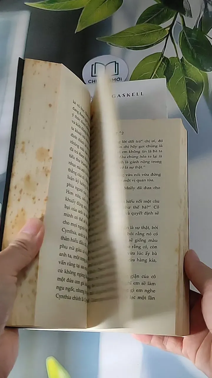 [MIỄN PHÍ BỌC SÁCH] Vợ và con gái ( Tập 1 + 2) (2016) - Elizabeth Gaskell 607675