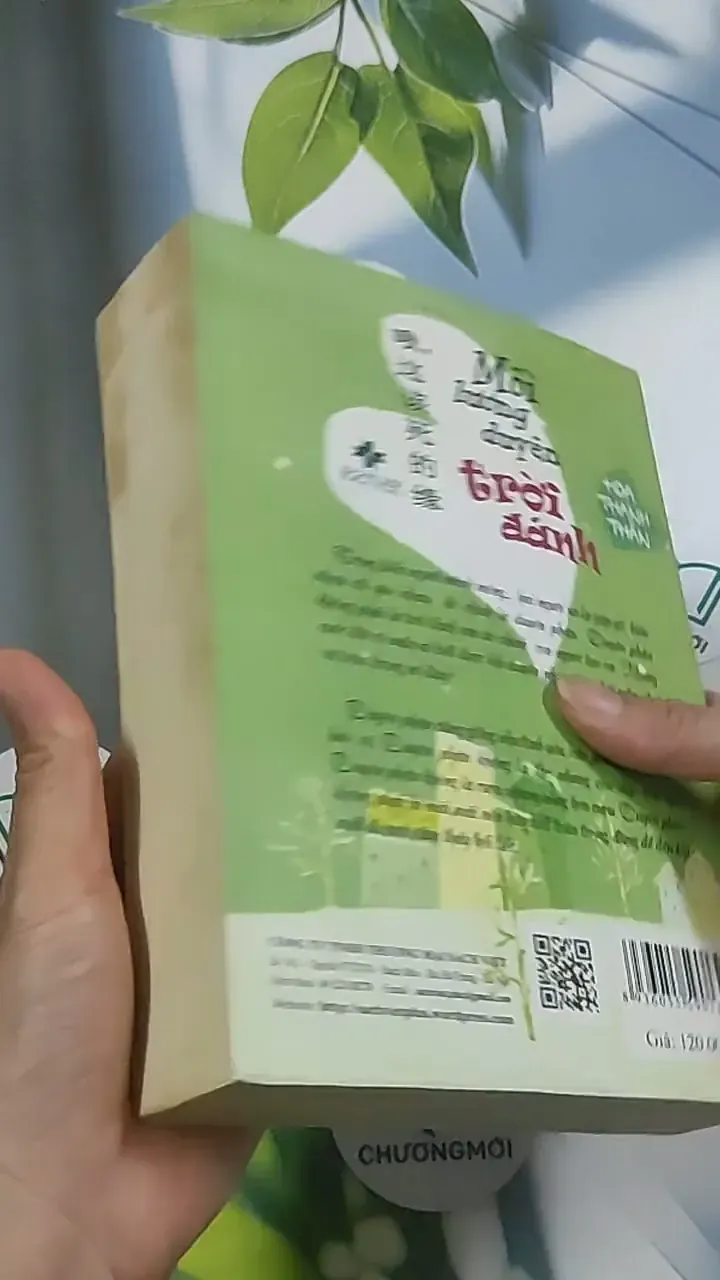 Mối lương duyên trời đánh - Hoa Thanh Thần 694961