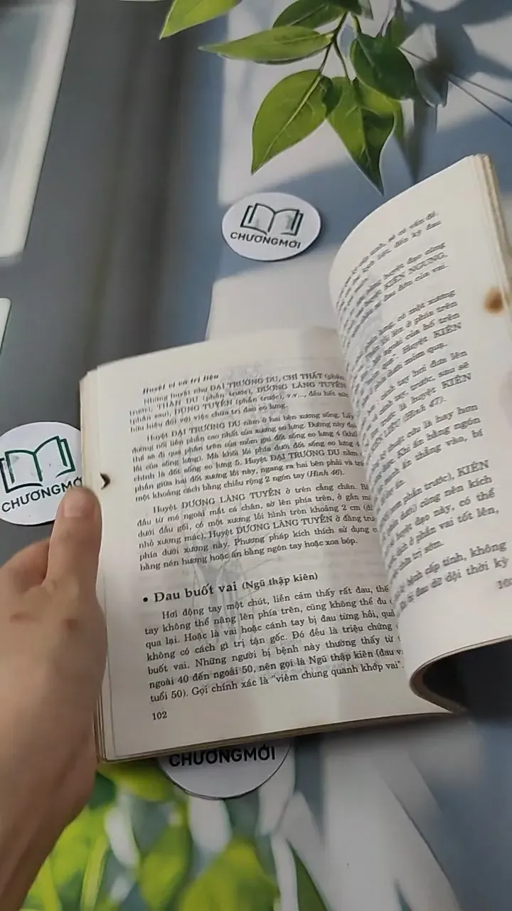 Phương Pháp Bấm Huyệt Chữa Bệnh - Phùng Lực Sinh 727233