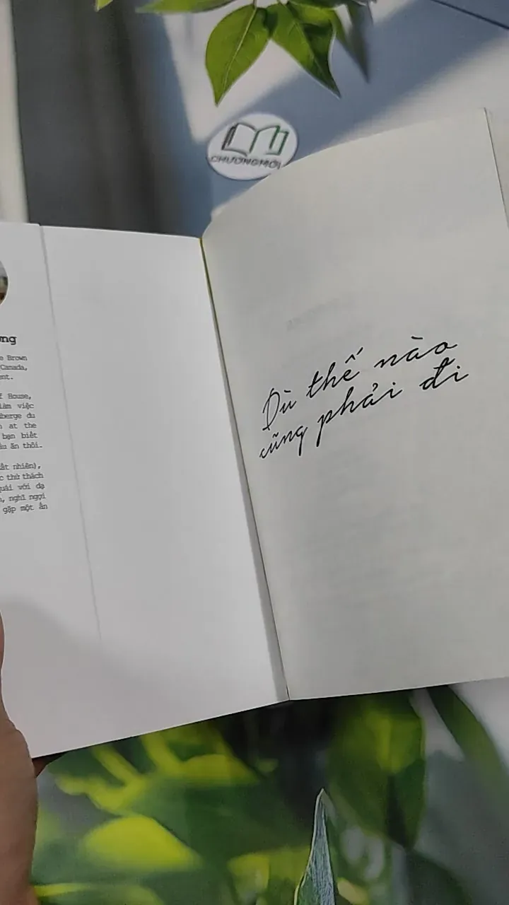 Dù Thế Nào Cũng Phải Đi - Đào Thu Hương 787128