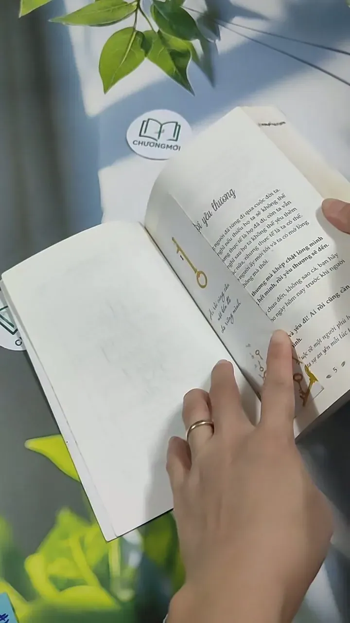 Mở Lòng Và Yêu Đi 707314