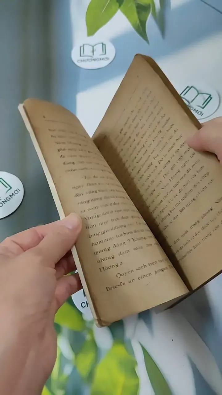 Cánh Bướm - Từ Kế Tường 713846