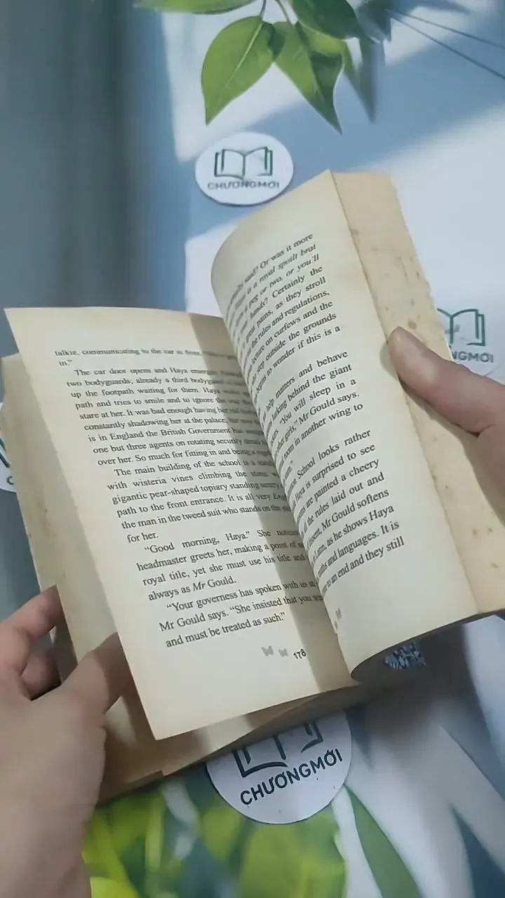 The Princess and the Foal - Stacy Gregg 715620