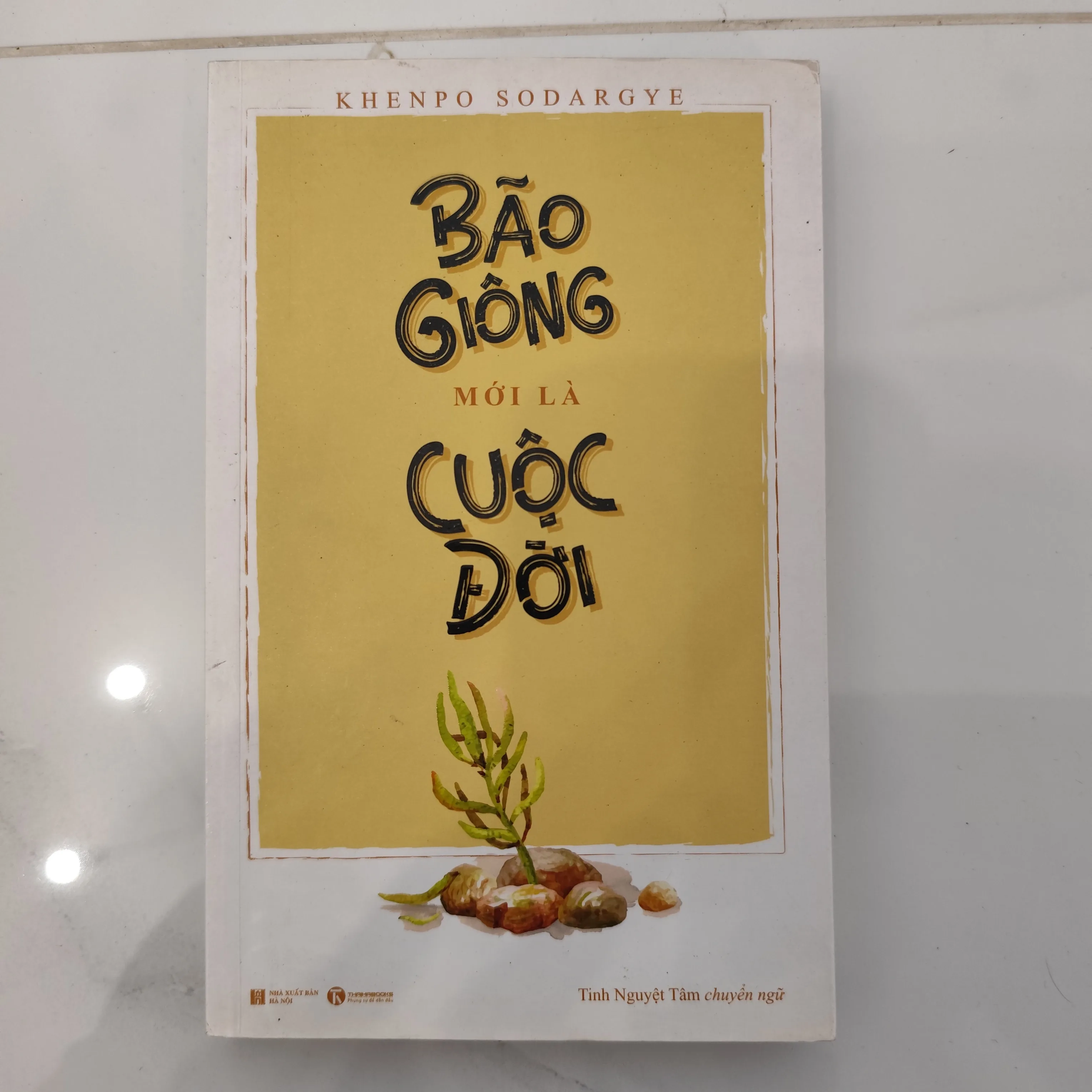 Bão giông mới là cuộc đời by  - Sách Book Cover - Ngọc Hiển Books