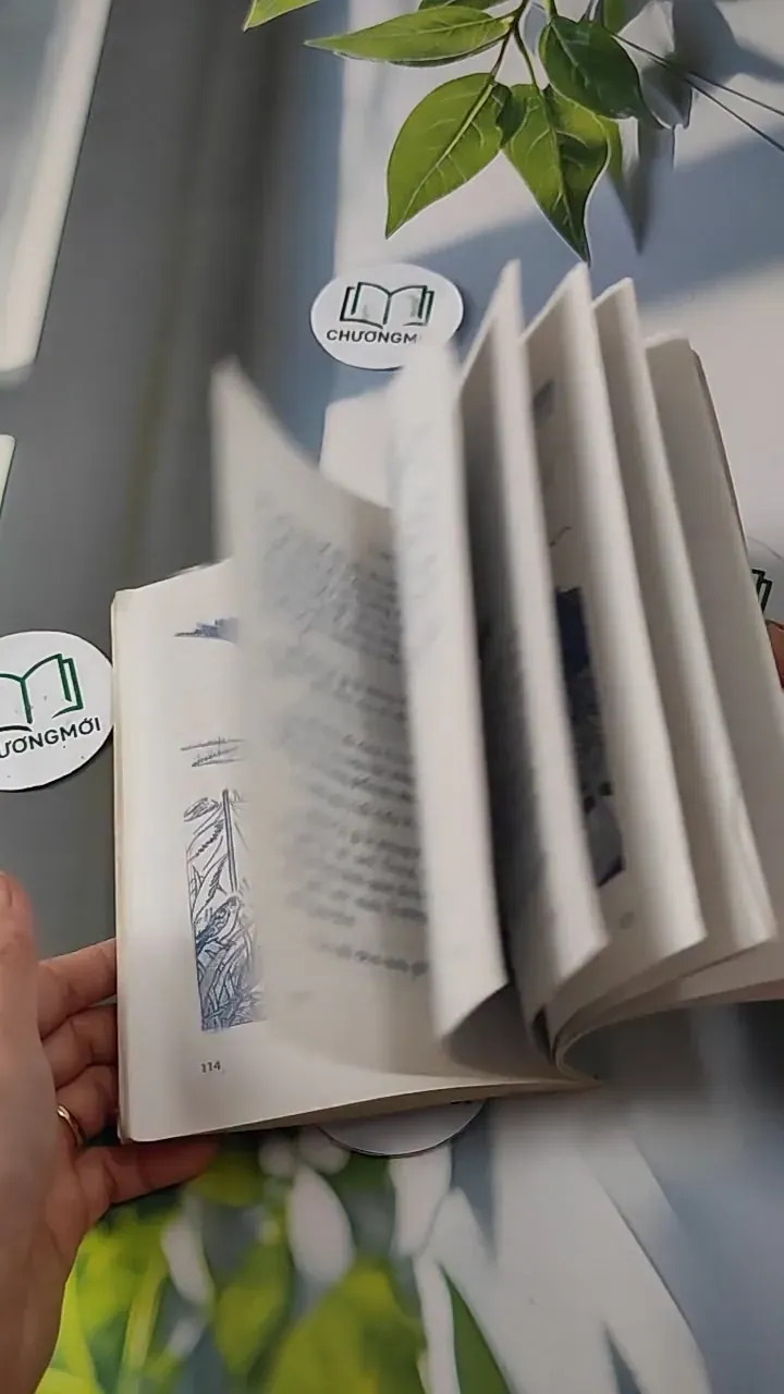 Thương Yêu Sự Sống - Tấn An 727266