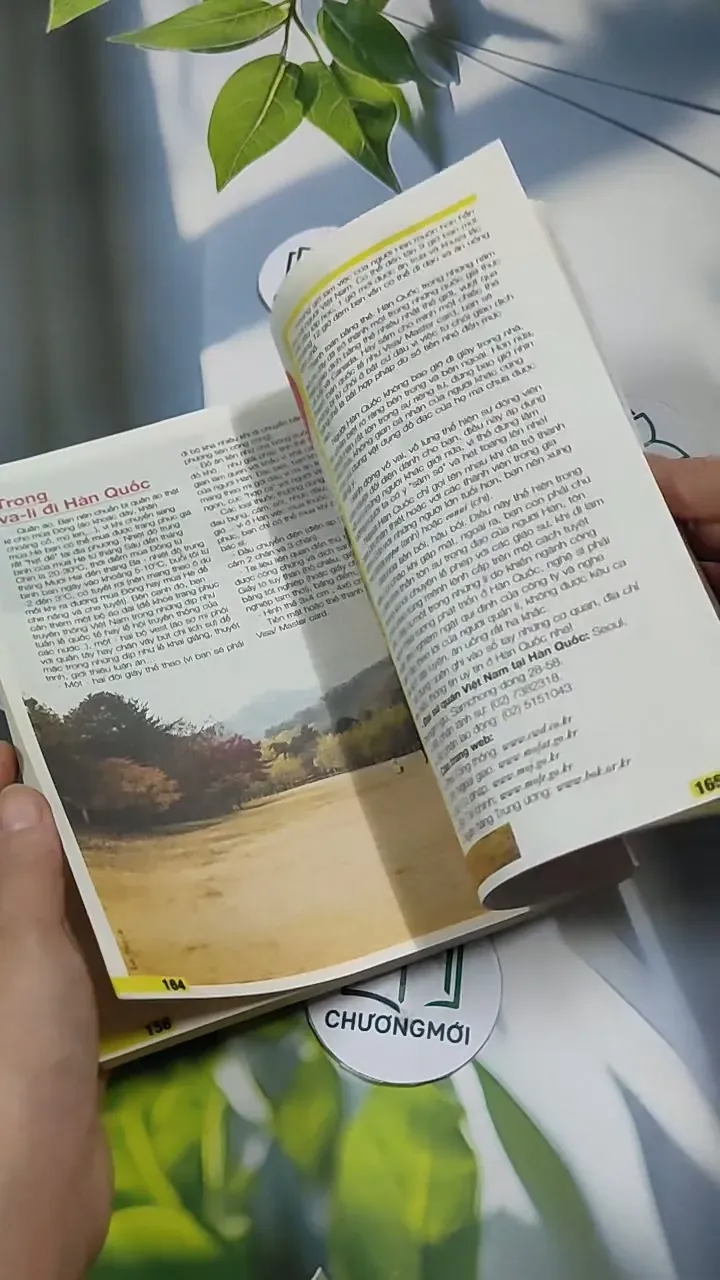 Hàn Quốc: Đi về phía bình minh - Hoa Học Trò 707308