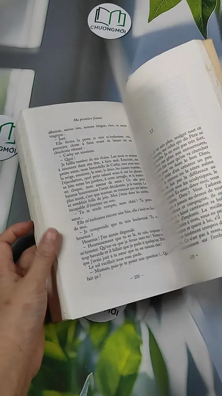 [MIỄN PHÍ BỌC SÁCH] Ma première femme - Yann Queffélec 754529