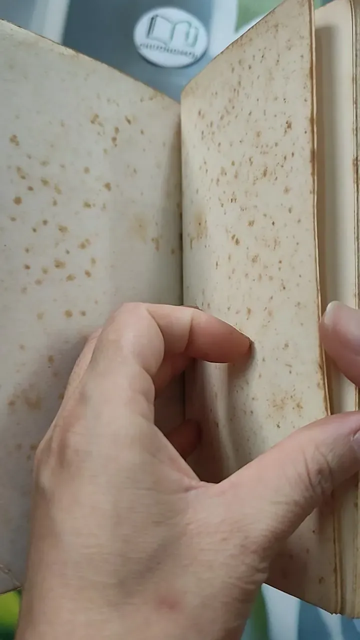 [MIỄN PHÍ BỌC SÁCH] Tomber sept fois, se relever huit - Philippe Labro 754471