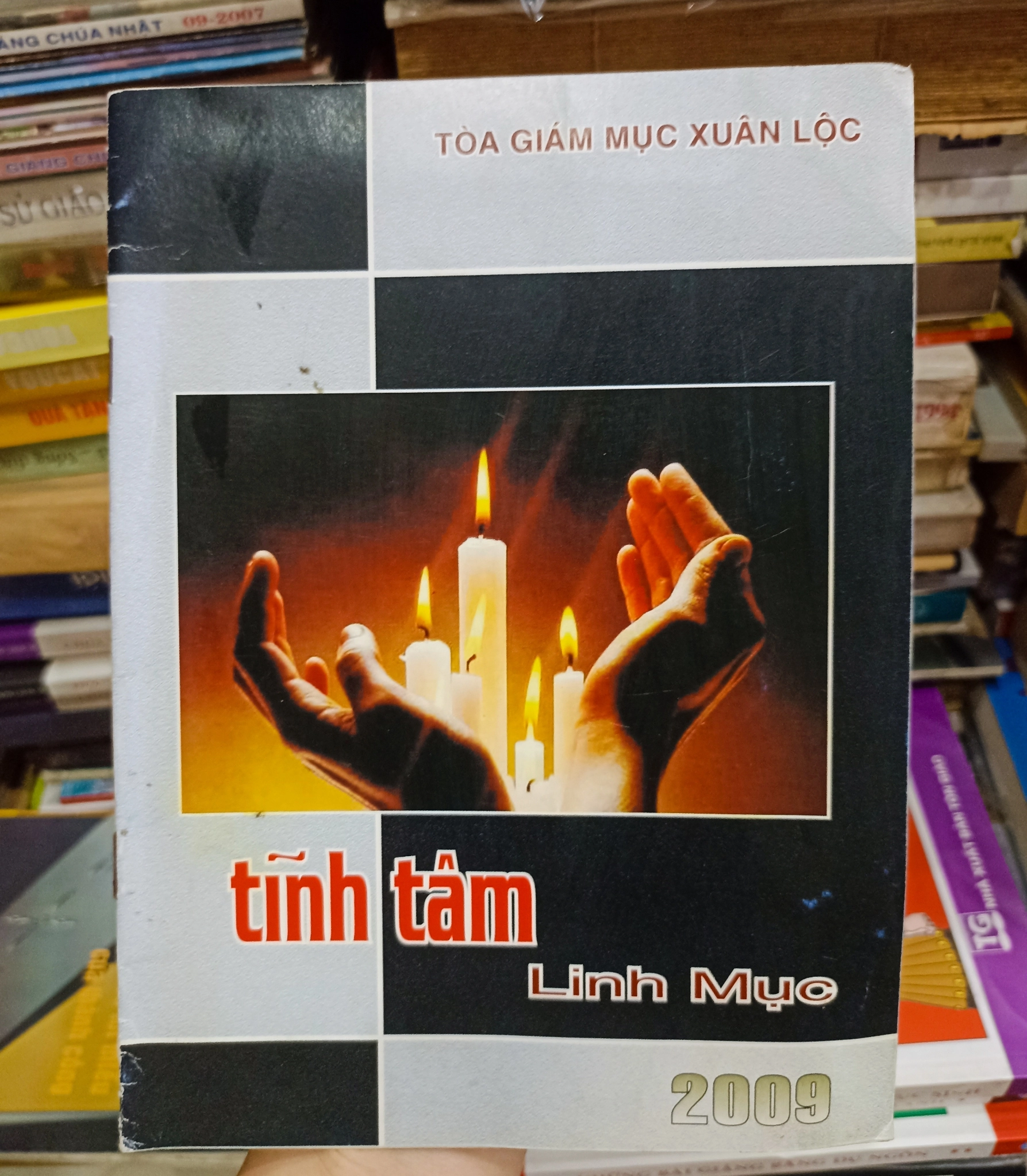 Lĩnh Tâm Linh Mục 