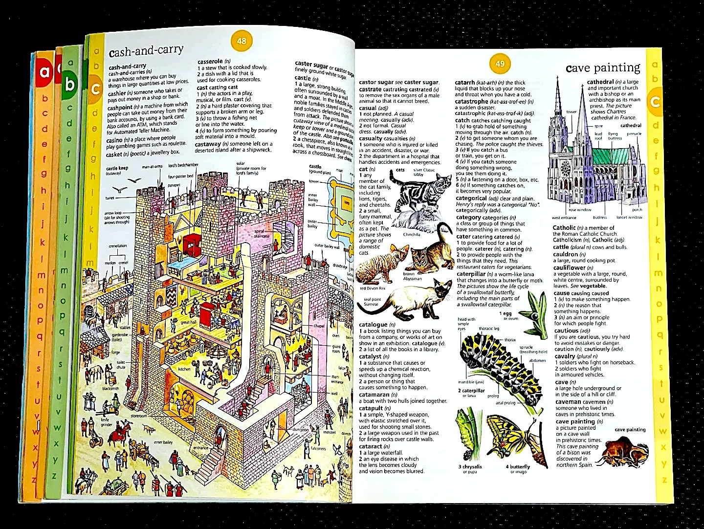 ILLUSTRATED ENGLISH DICTIONARY (Usborne) 997925