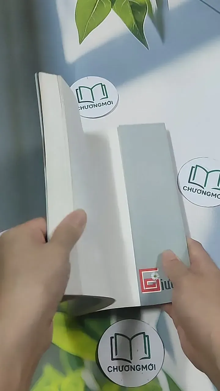 Giường - Phan An 694986