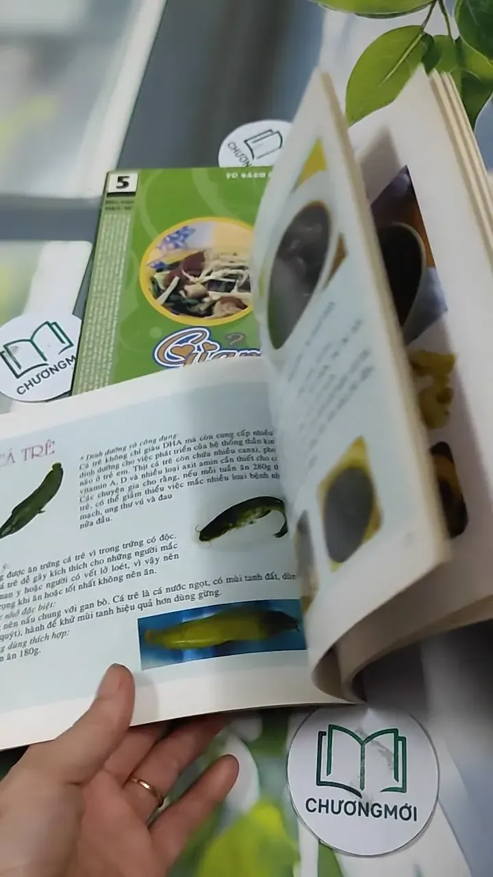 Combo Ẩm Thực: 35 Món Ăn Dành Cho Phụ Nữ, 29 Món Giảm Béo 727318