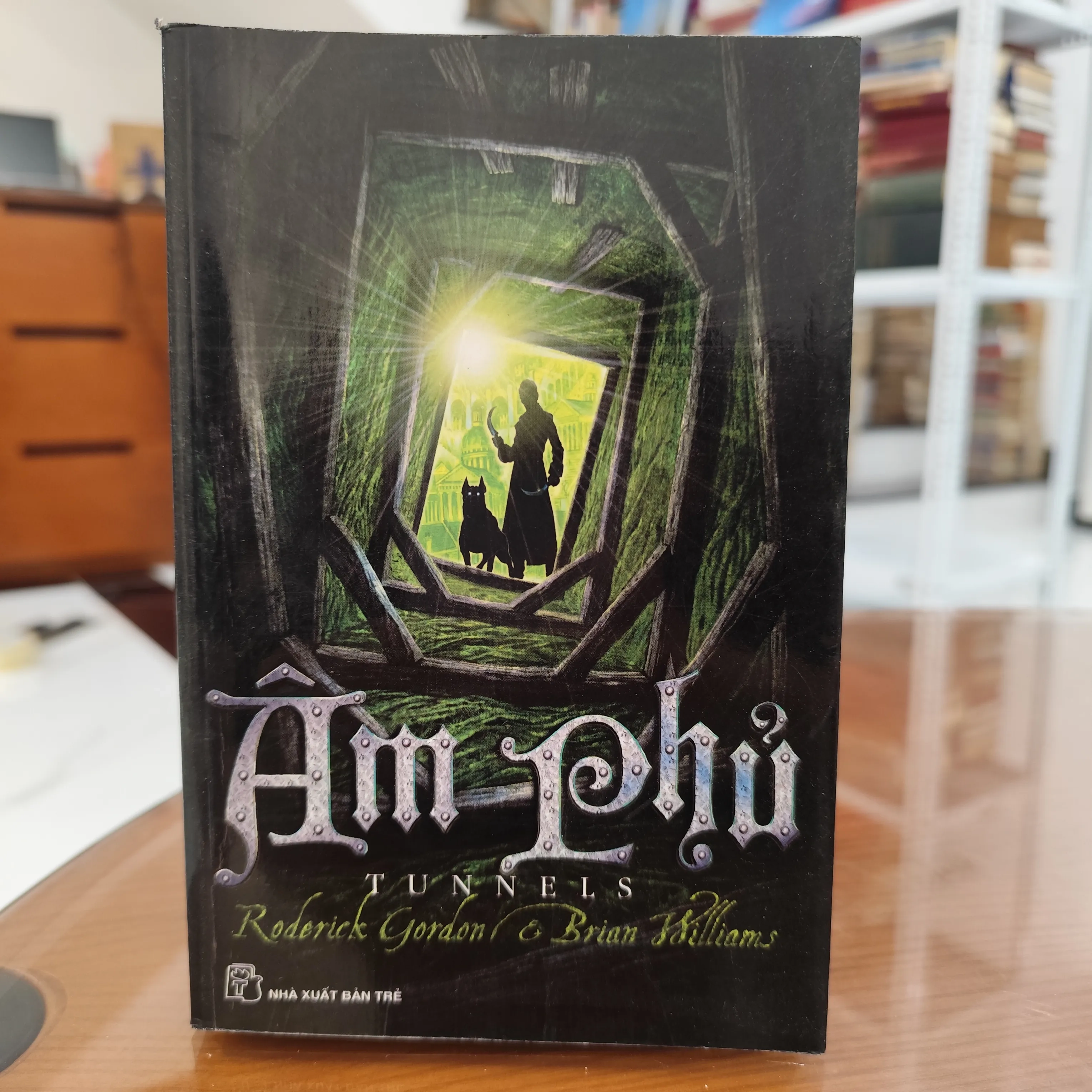 Âm phủ by  - Sách Book Cover - Ngọc Hiển Books
