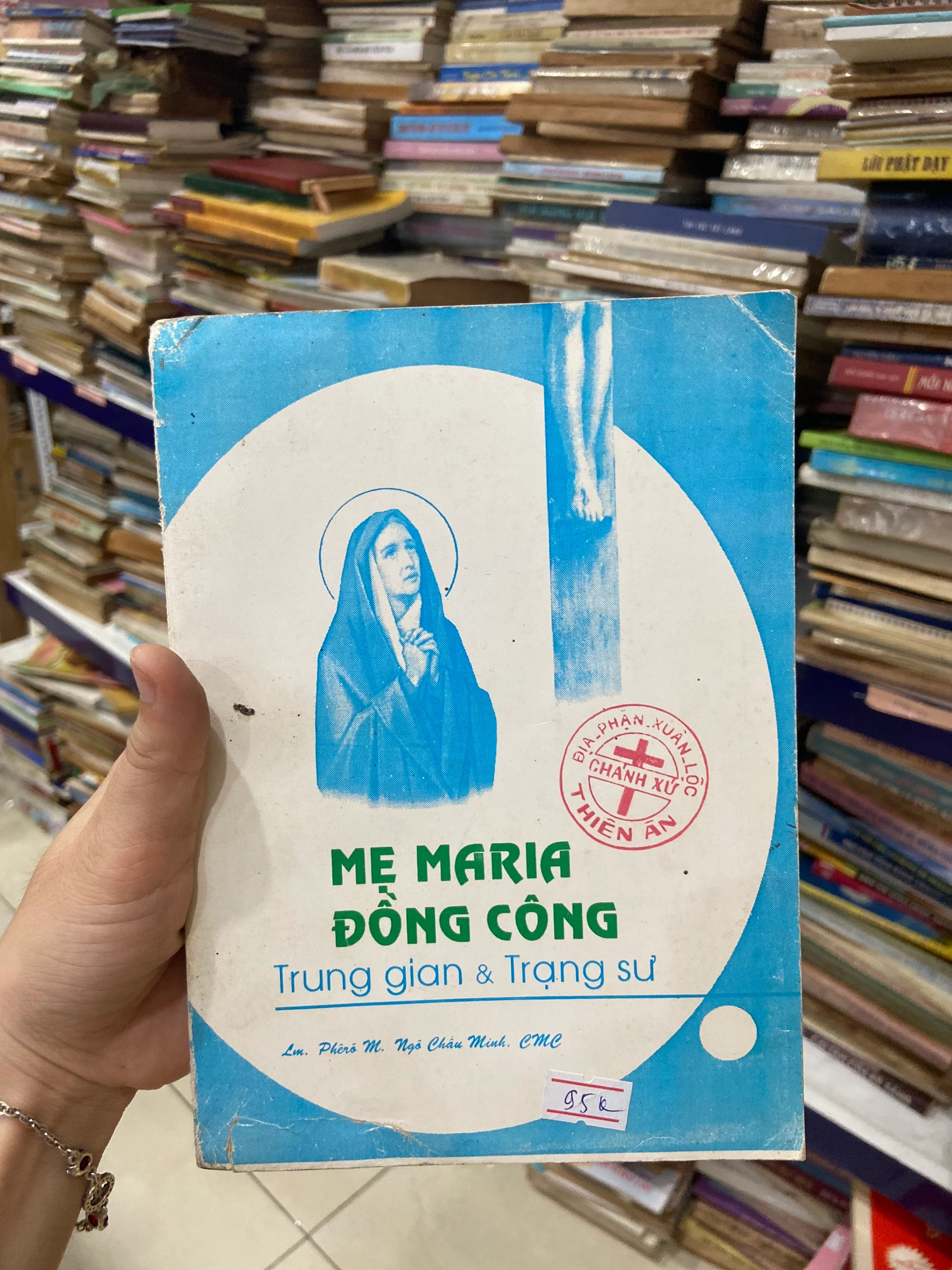 Mẹ Maria Đồng Công Trung Gian Và Trạng Sư by Roger Faligot - Sách Book Cover - Ngọc Hiển Books