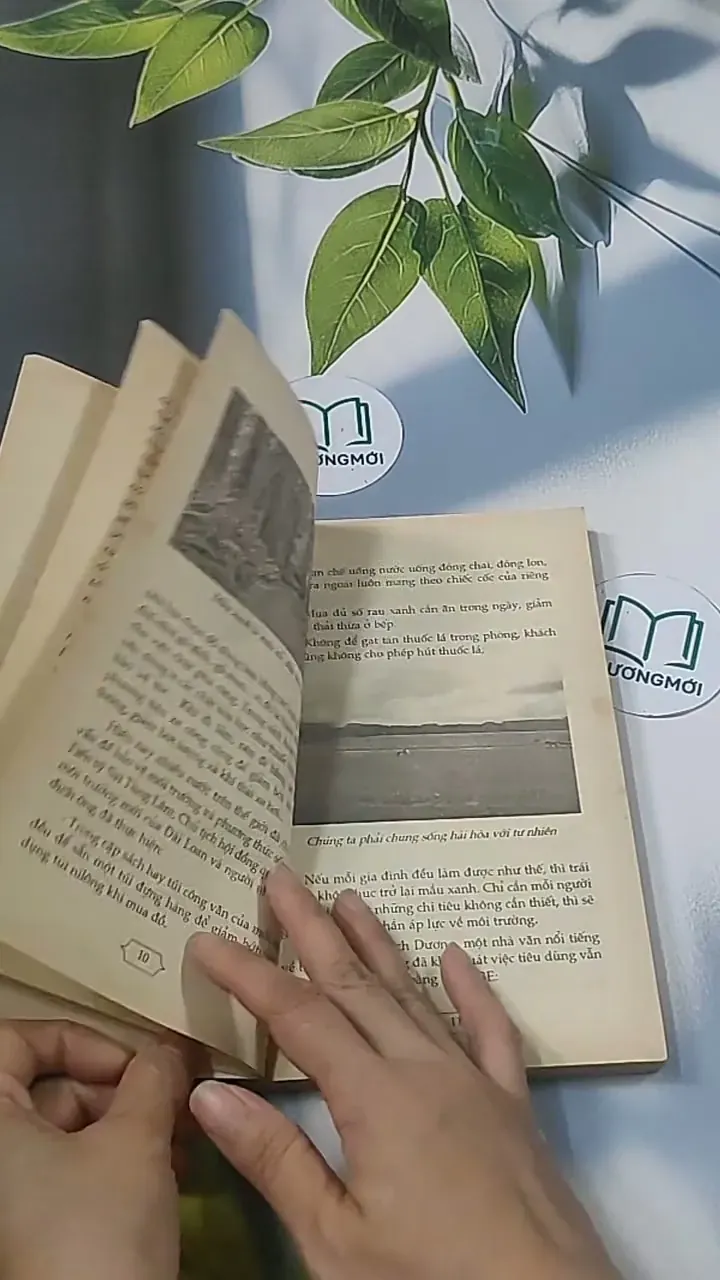 Xây dựng cuộc sống xanh -  Kim Phụng 694915