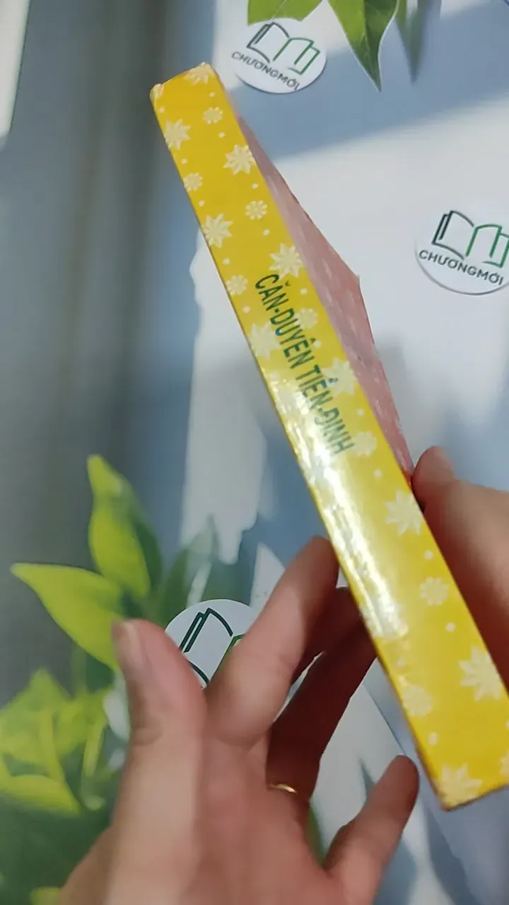 Căn Duyên Tiền Định - Dương Công Hầu 776242