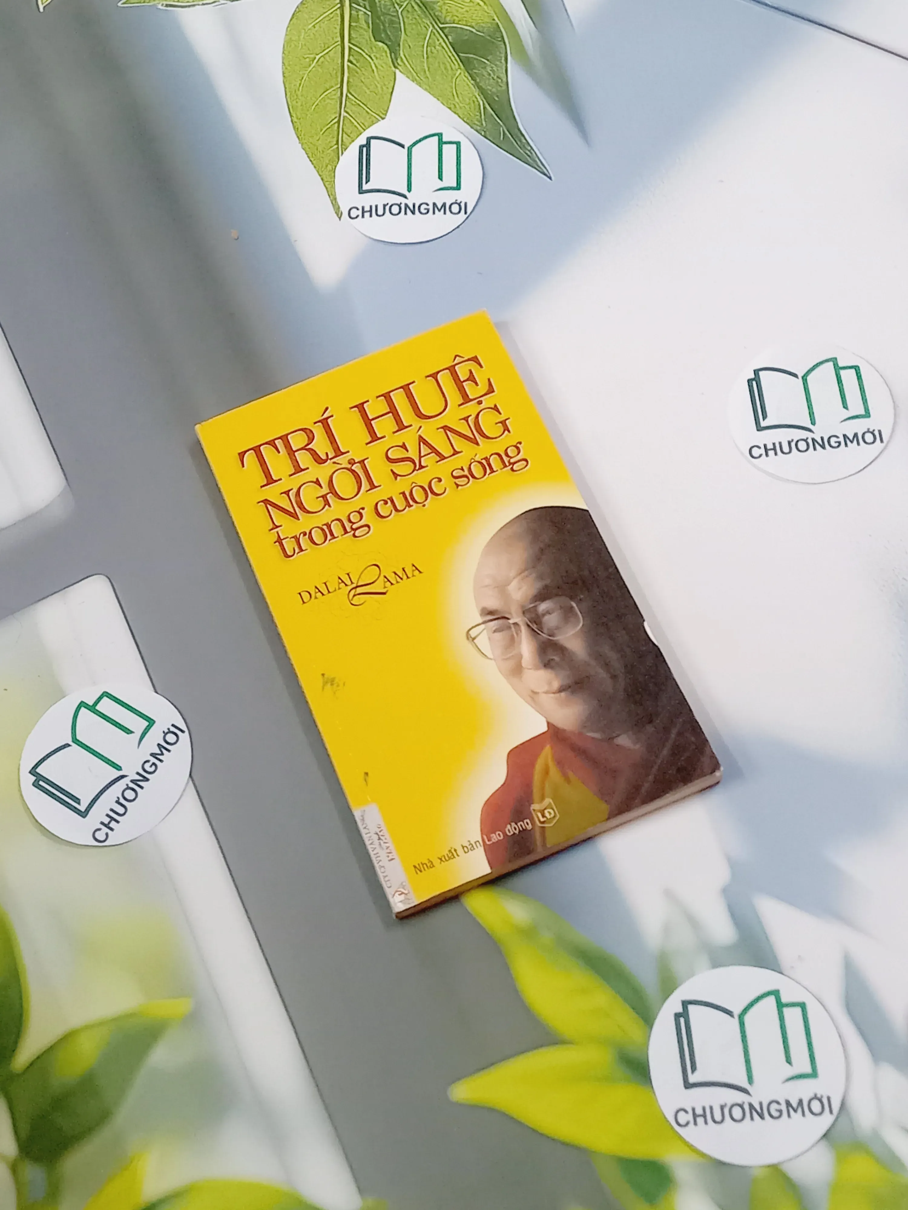 Trí Huệ Ngời Sáng Trong Cuộc Sống - Dalai Lama