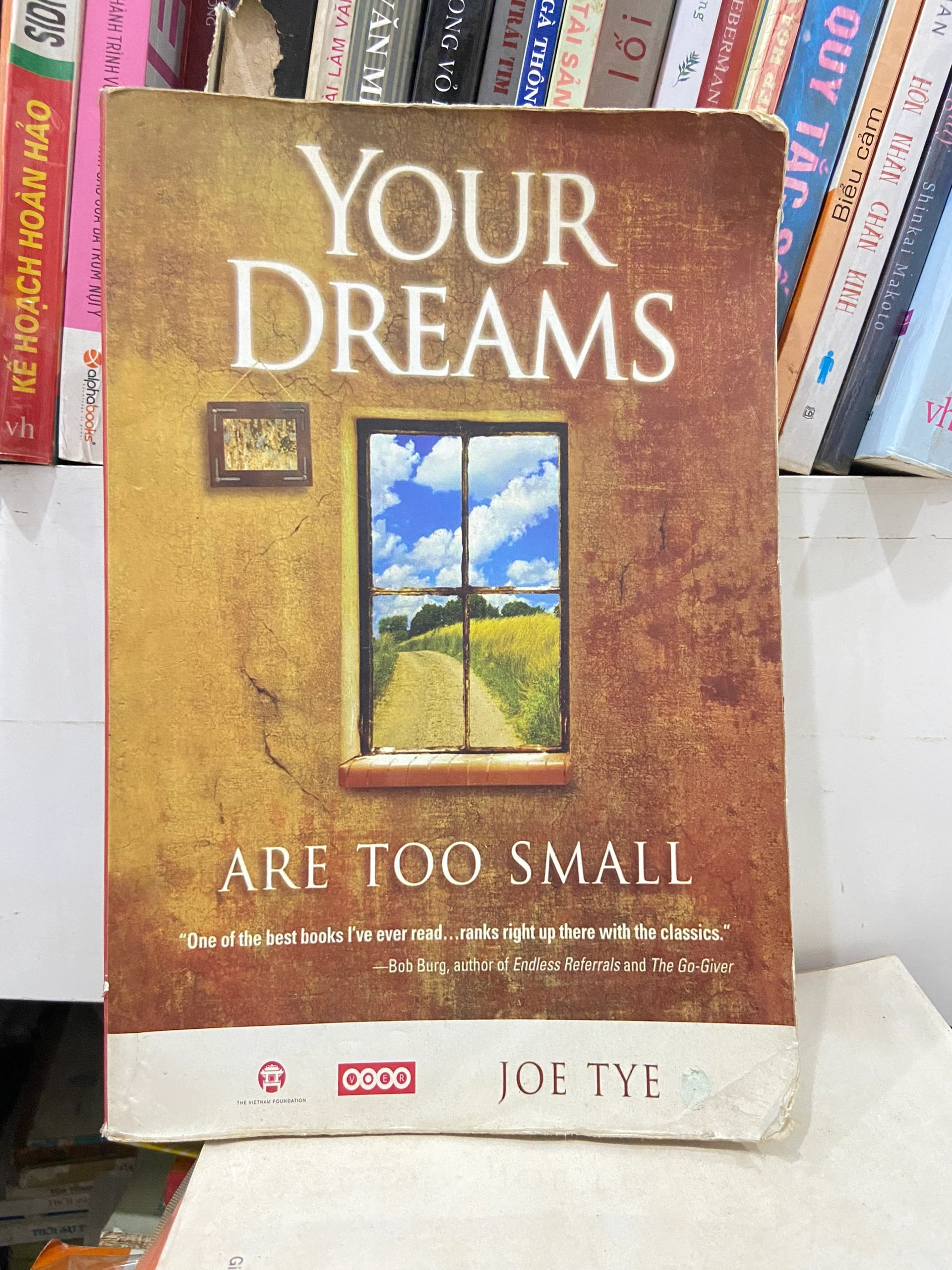 Your Dreams Are Too Small by Joe Tye