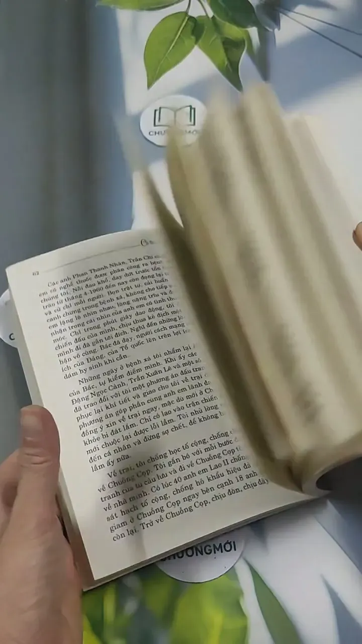 Có Bác Mãi Trong Tim 715608