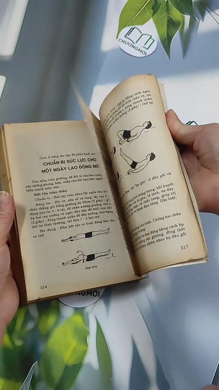 [XƯA] 6 Bí Quyết Dưỡng Sinh Người Có Tuổi (1994) 776147
