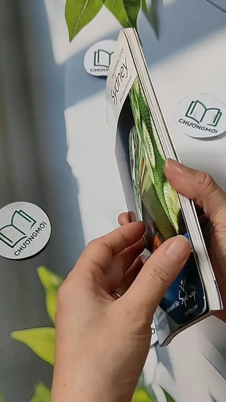 The Official Guide Sydney 2010 703071