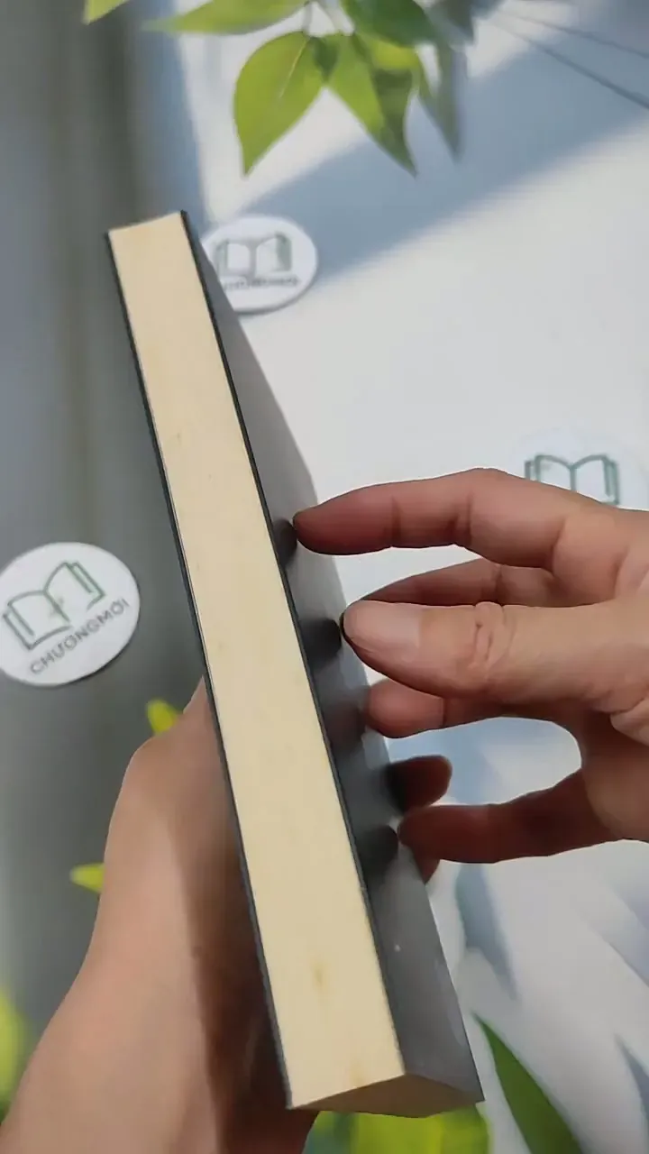 Biên Niên Cô Đơn - Nguyễn Ngọc Thạch 714333