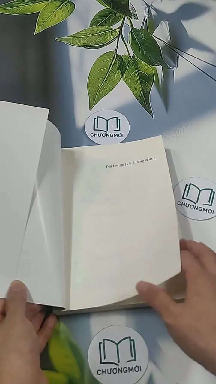 Trái tim em luôn hướng về anh - Diệp Tử 694937