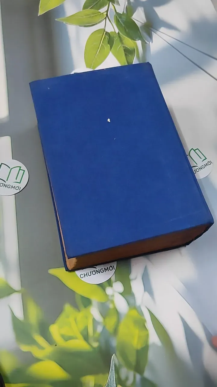 [MIỄN PHÍ BỌC SÁCH] Từ Điển Anh - Việt - Viện Ngôn Ngữ 750747